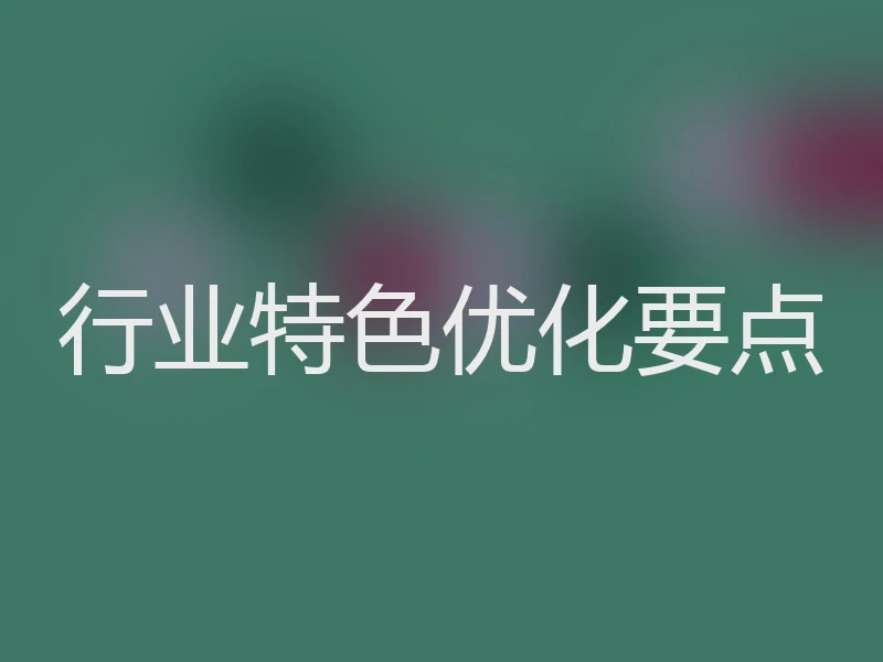 行业特色优化要点