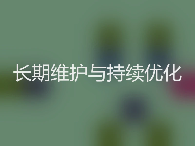 长期维护与持续优化