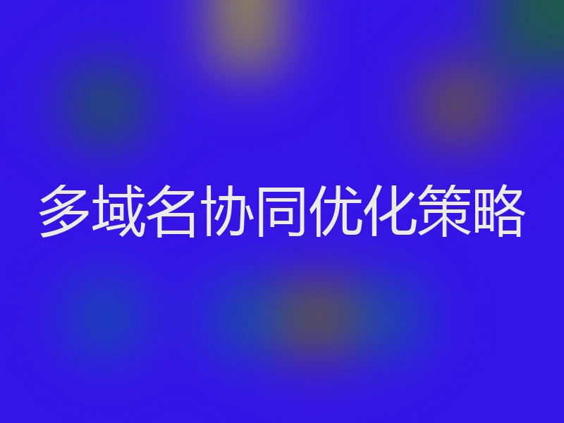 多域名协同优化策略