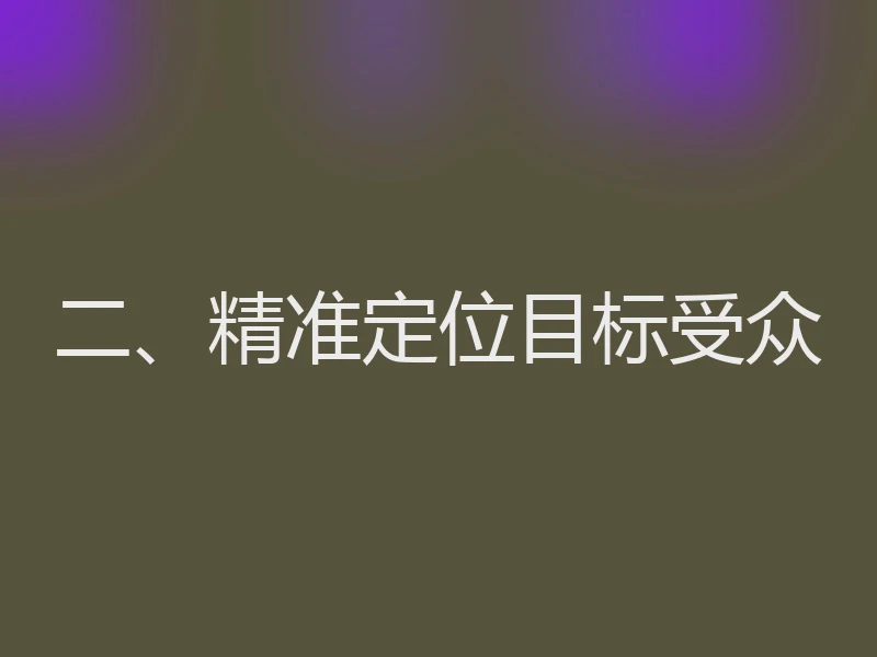二、精准定位目标受众