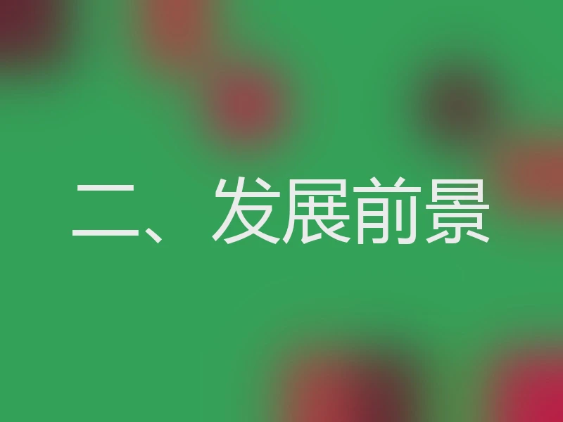 二、发展前景