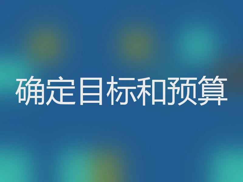 确定目标和预算