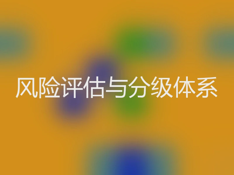 风险评估与分级体系