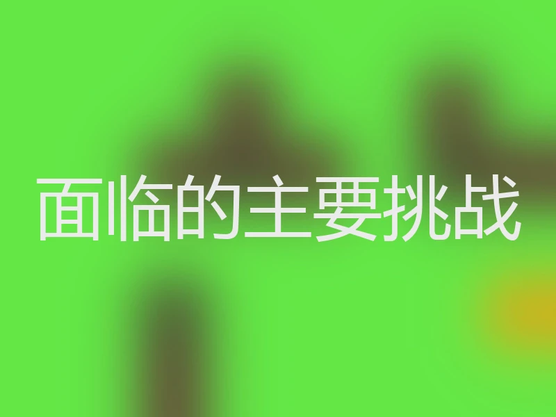 面临的主要挑战