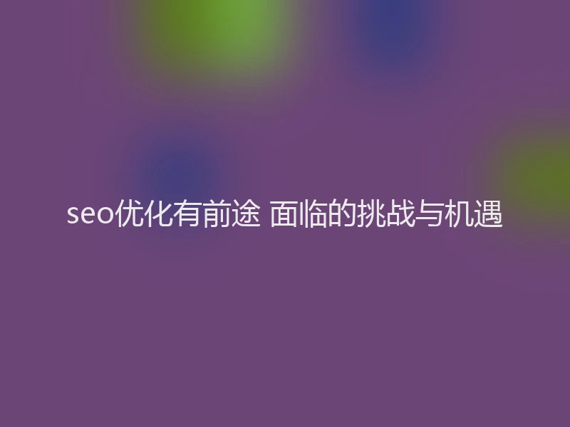 seo优化有前途 面临的挑战与机遇