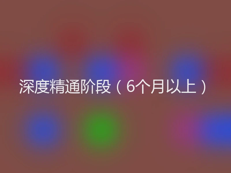 深度精通阶段（6个月以上）