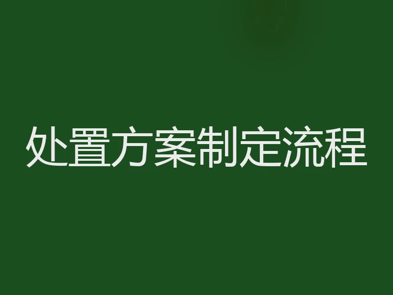 处置方案制定流程
