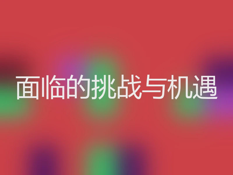 面临的挑战与机遇