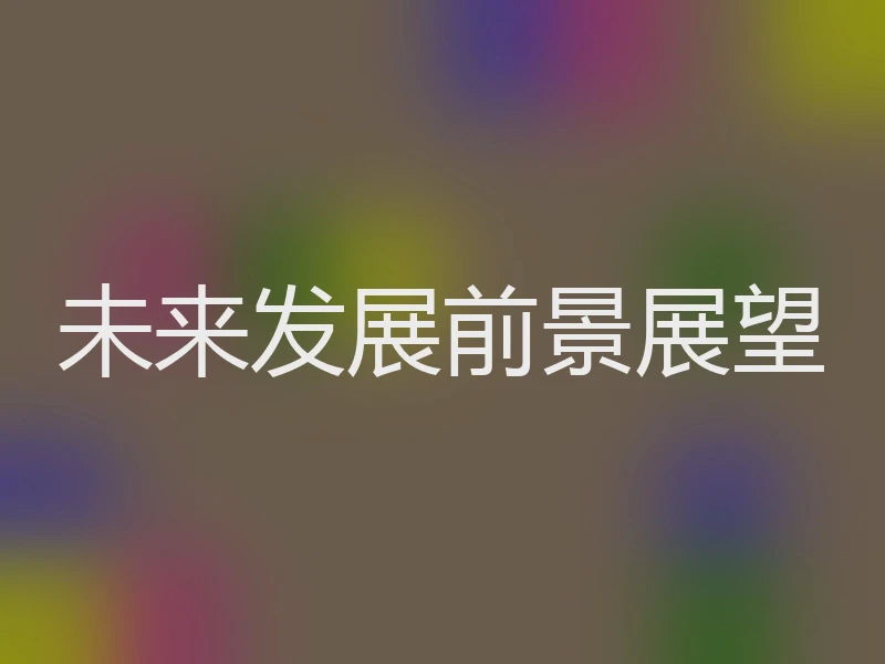 未来发展前景展望