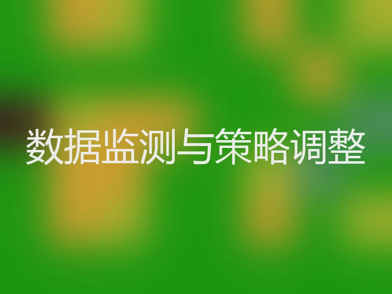 数据监测与策略调整