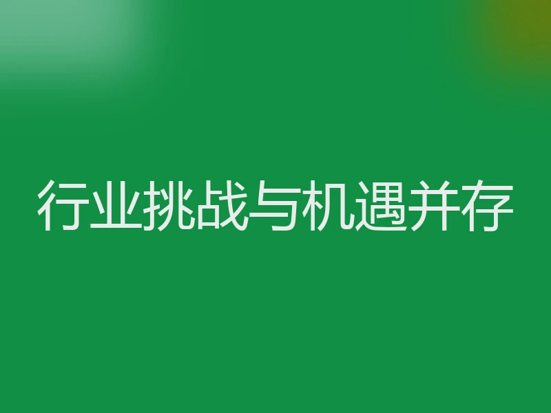 行业挑战与机遇并存