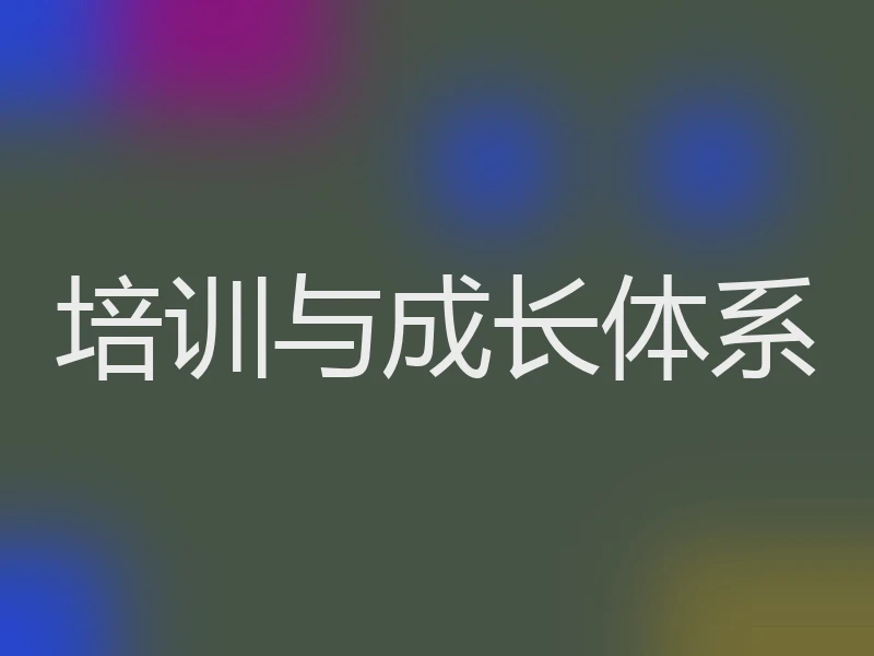 培训与成长体系