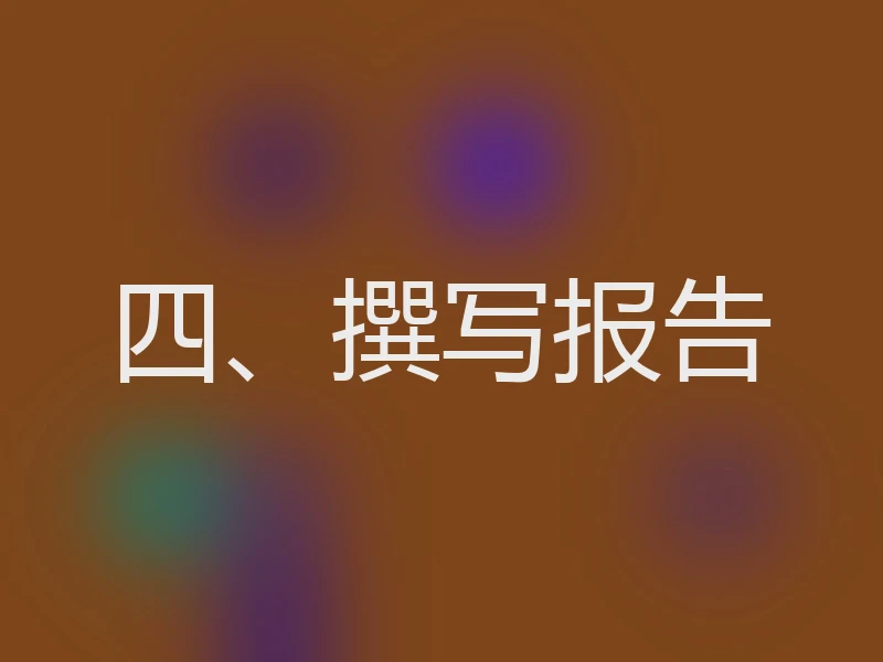 四、撰写报告