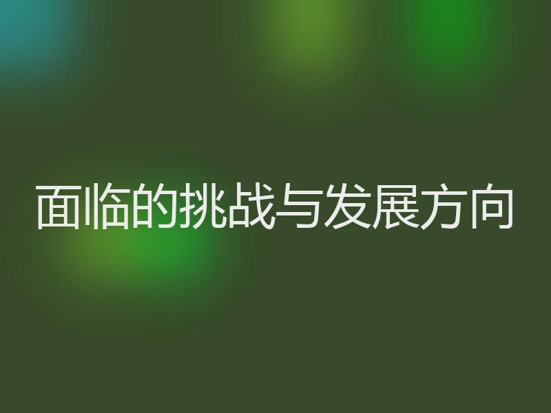 面临的挑战与发展方向