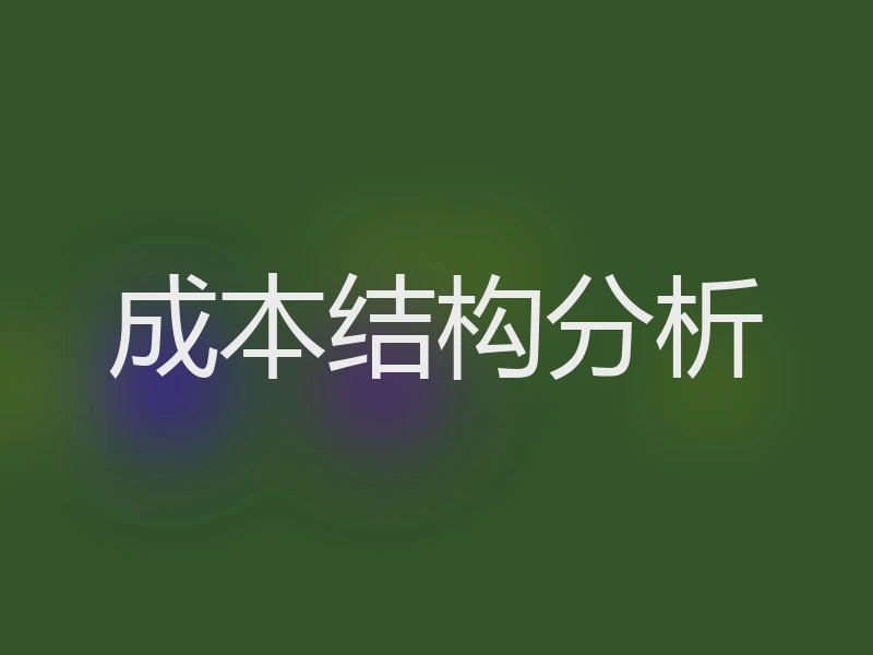 成本结构分析