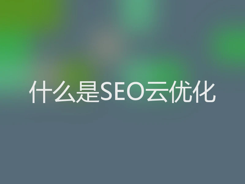什么是SEO云优化