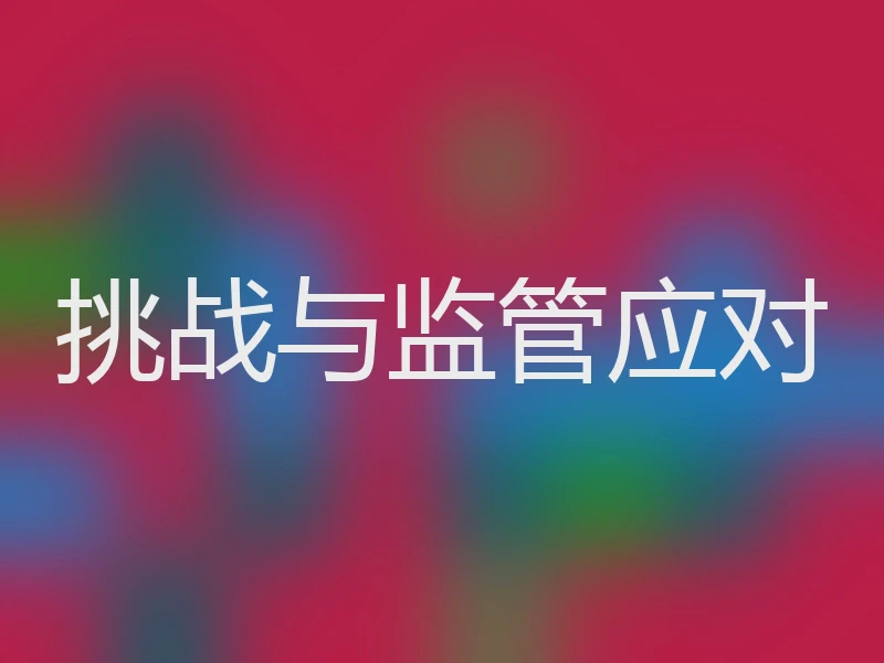挑战与监管应对