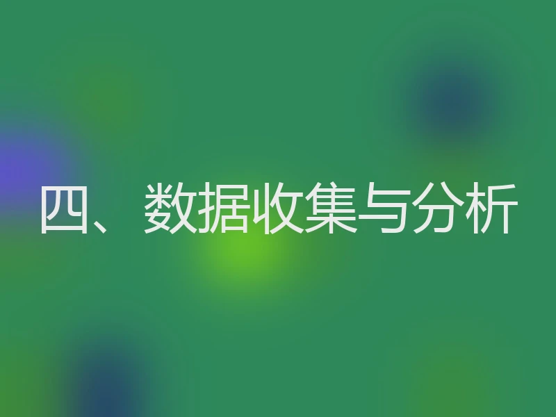 四、数据收集与分析