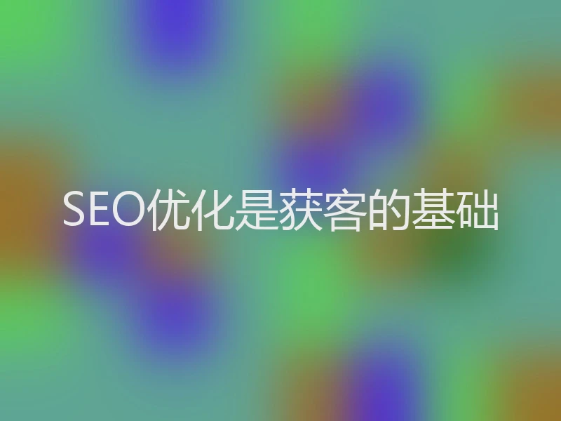 SEO优化是获客的基础