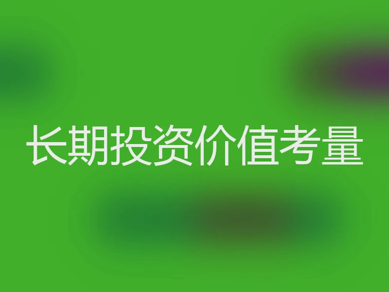 长期投资价值考量