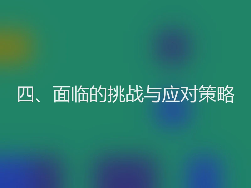 四、面临的挑战与应对策略