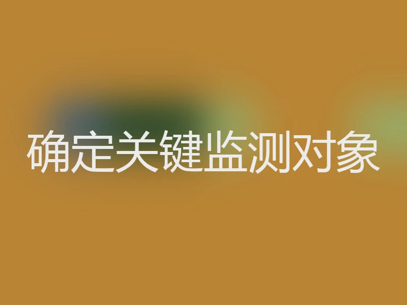 确定关键监测对象
