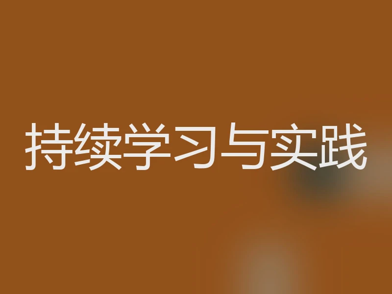持续学习与实践