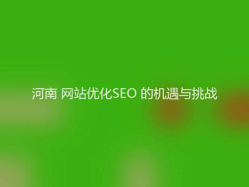 河南 网站优化SEO 的机遇与挑战