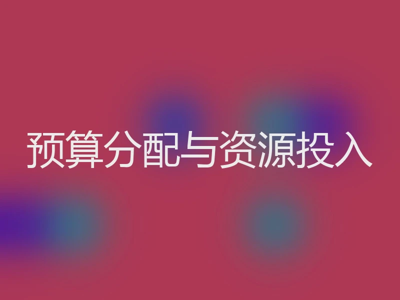 预算分配与资源投入