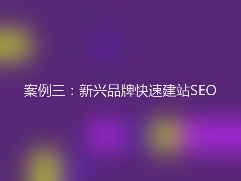 案例三:新兴品牌快速建站SEO