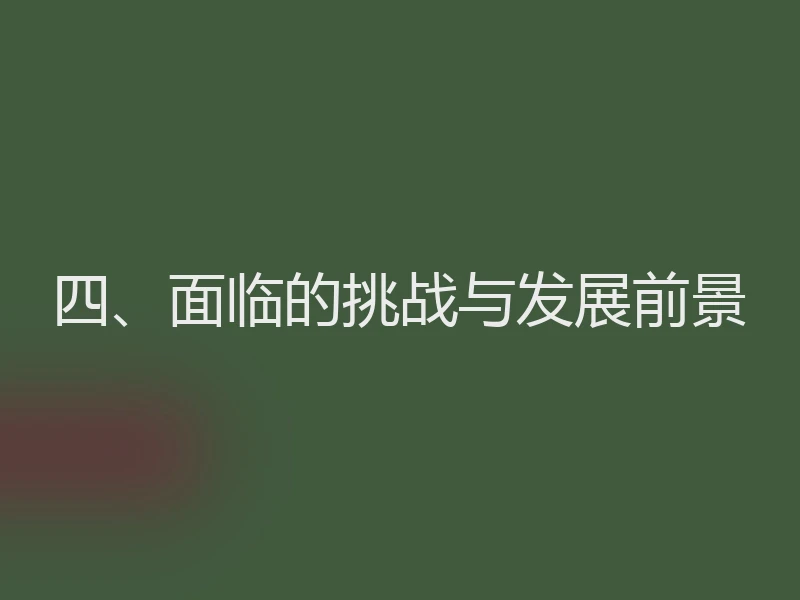 四、面临的挑战与发展前景