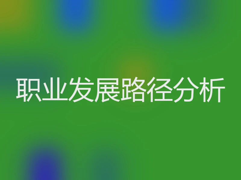 职业发展路径分析