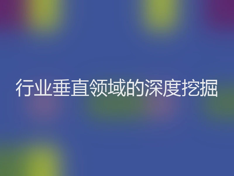 行业垂直领域的深度挖掘