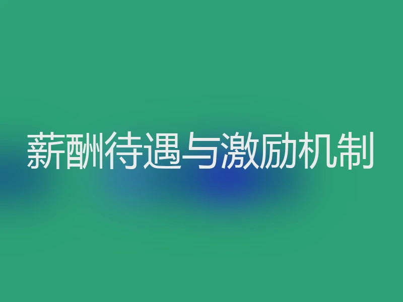 薪酬待遇与激励机制