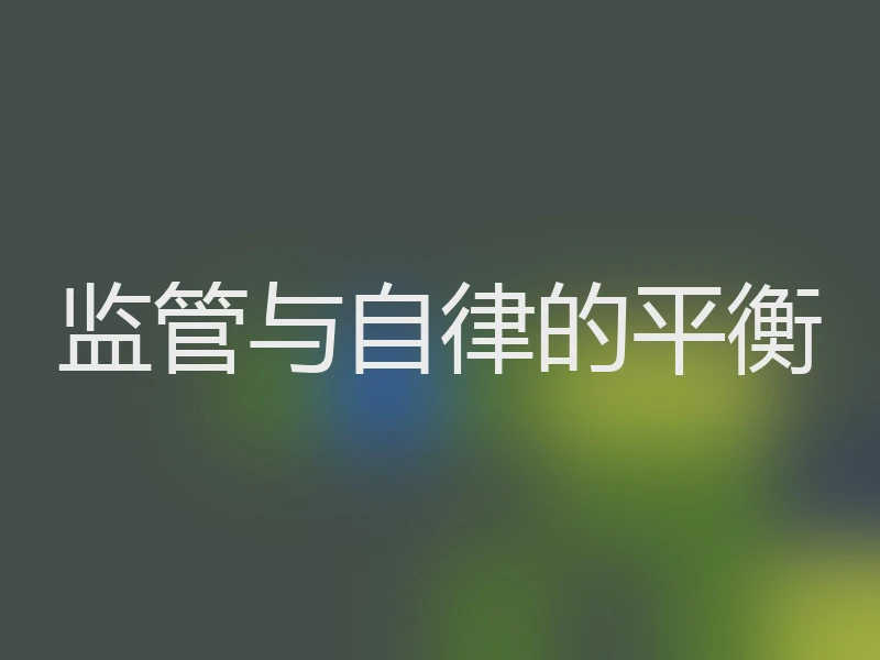 监管与自律的平衡