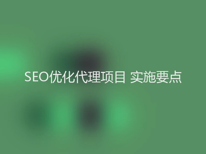 SEO优化代理项目 实施要点
