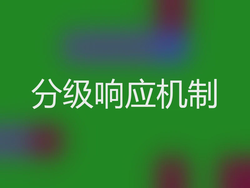 分级响应机制