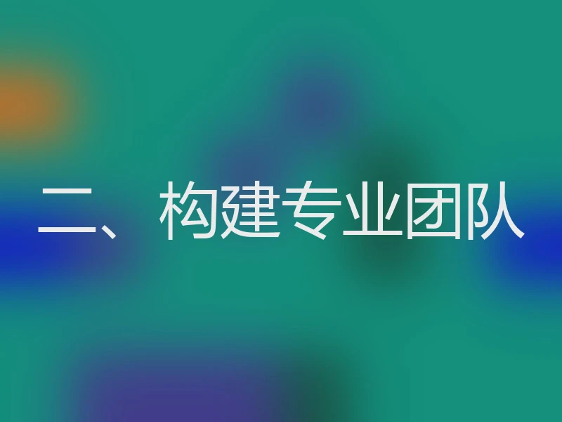 二、构建专业团队