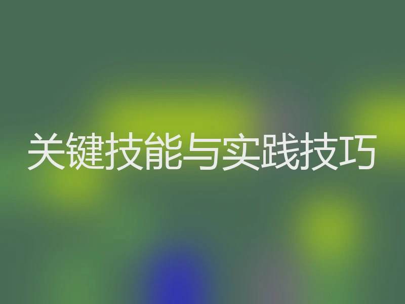 关键技能与实践技巧