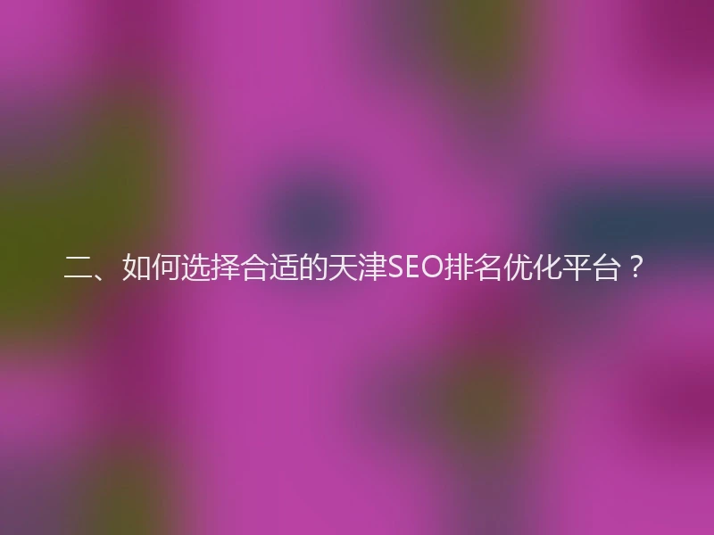 二、如何选择合适的天津SEO排名优化平台？