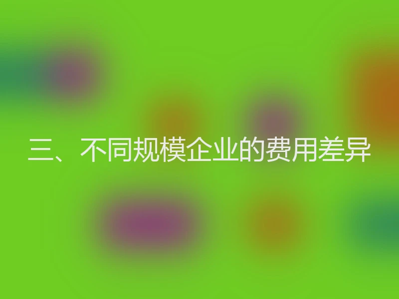 三、不同规模企业的费用差异