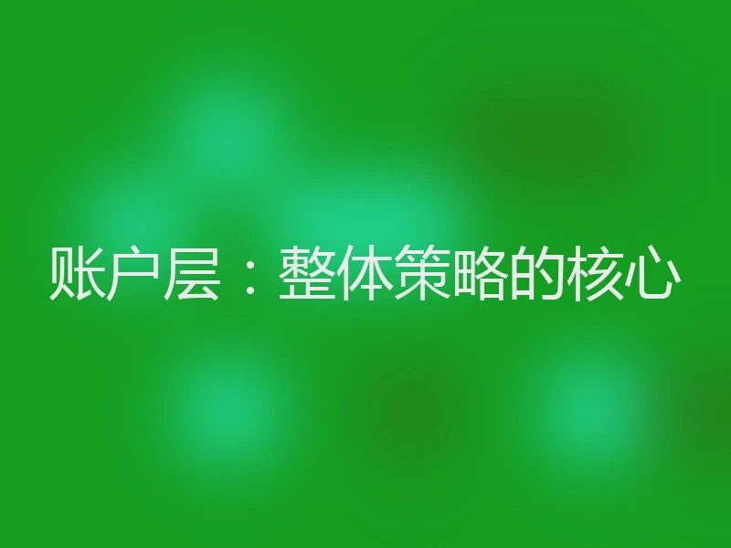 账户层：整体策略的核心