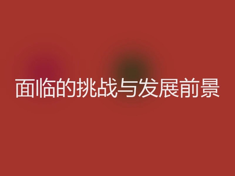 面临的挑战与发展前景
