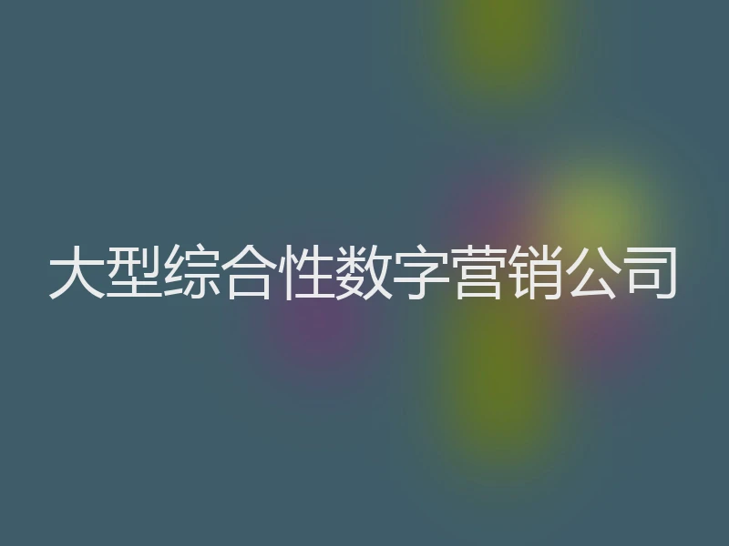 大型综合性数字营销公司