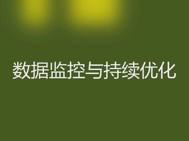 数据监控与持续优化