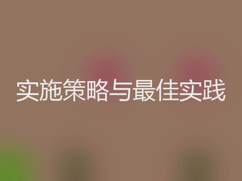 实施策略与最佳实践