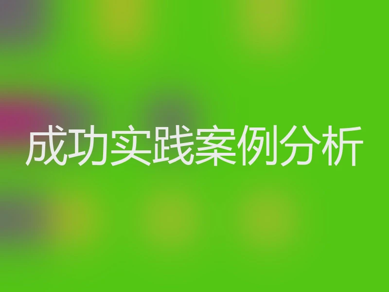 成功实践案例分析