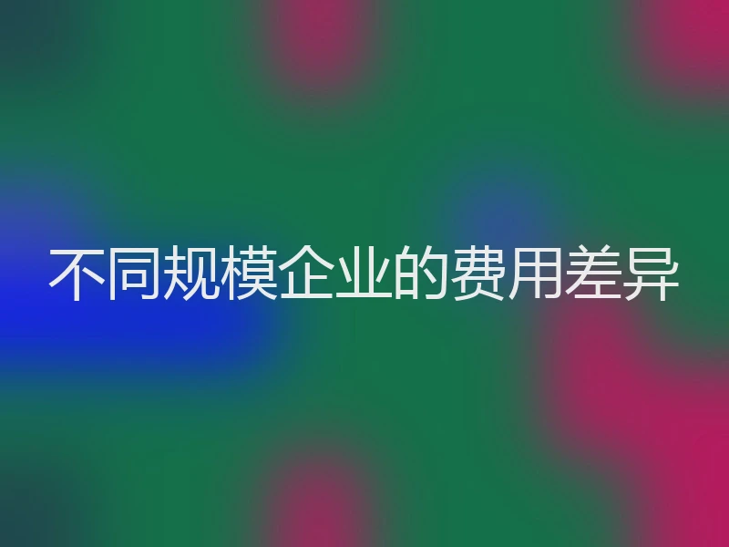 不同规模企业的费用差异
