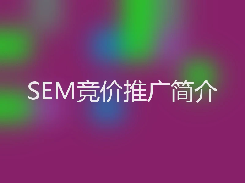 SEM竞价推广简介