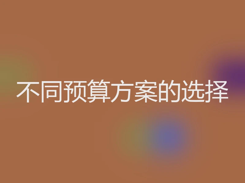 不同预算方案的选择